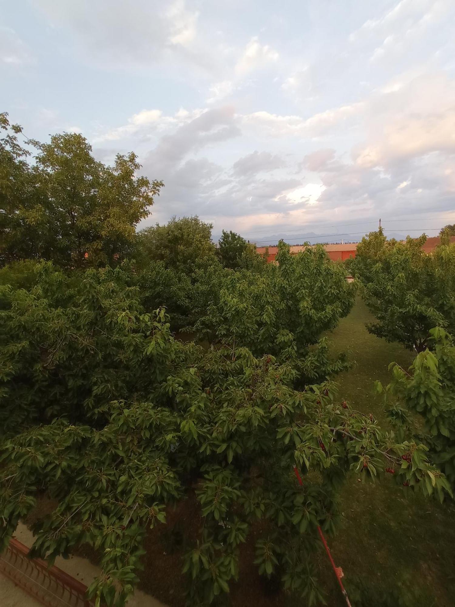 Airport Home Radinovic Podgorica Bilik gambar